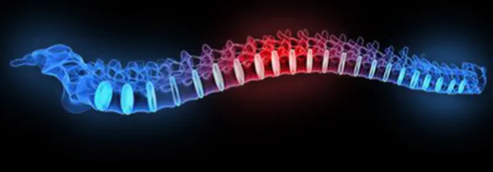 Spring Cleaning for Your Spine: Detoxing Stress and Tension In St Cloud FL